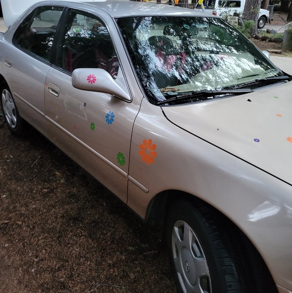 Meet your Posher, Caroline - Picture 5 of 5